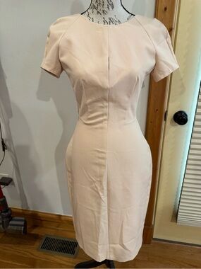 Zara Soft Blush Midi Sheath Dress